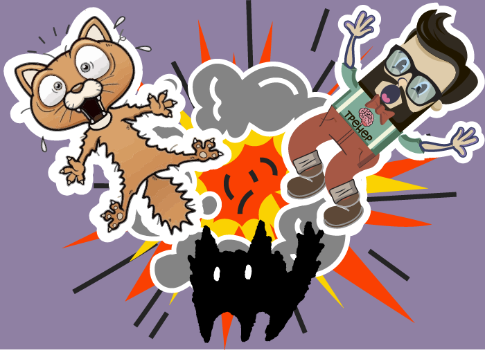 cats
